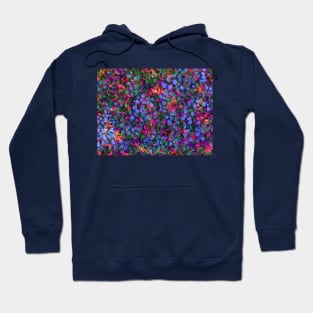 Forest Sunrise Hoodie